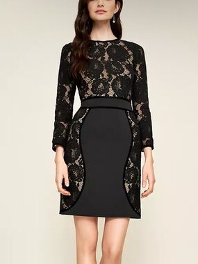 Tadashi Shoji Black Lace Long-Sleeve Sheath Dress